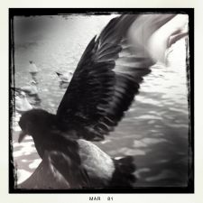 I can fly  /  AA iPhonegraphy